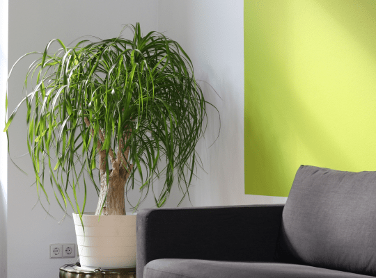 You are currently viewing Color Coordination: All About The Details